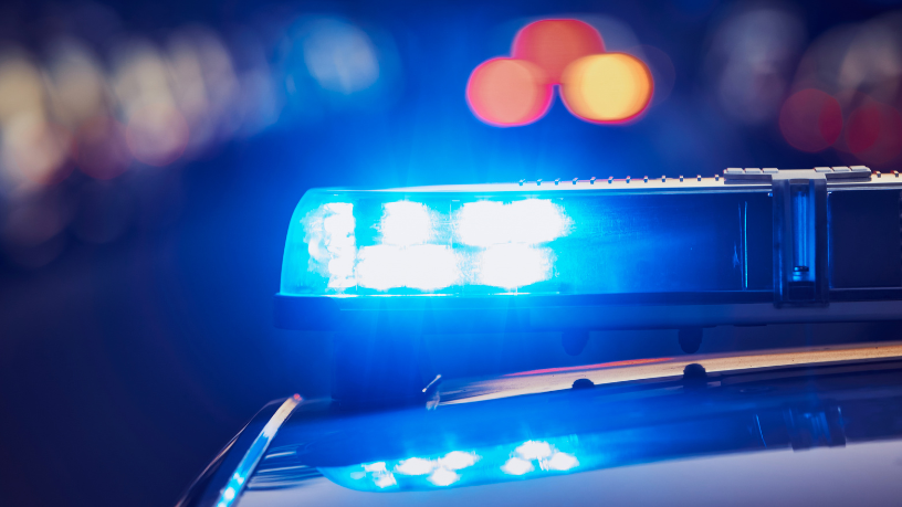 Polícia Ambiental Intensifica Combate à Caça Ilegal e Proteção da Fauna em Alagoas