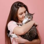 Como os gatos escolhem seu humano favorito: o que a ciência revela sobre esse vínculo especial