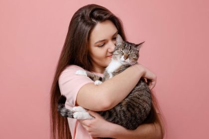 Como os gatos escolhem seu humano favorito: o que a ciência revela sobre esse vínculo especial