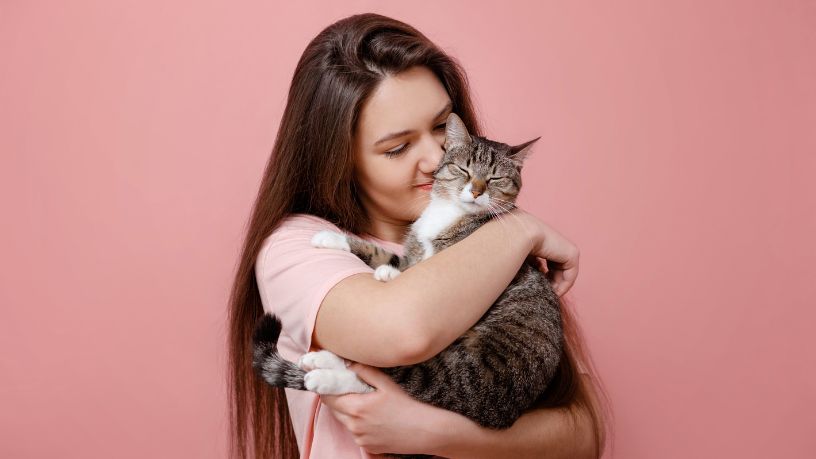 Como os gatos escolhem seu humano favorito: o que a ciência revela sobre esse vínculo especial