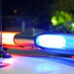 Tortura de pets em lives: crimes virtuais chocam São Paulo e expõem falhas na fiscalização digital