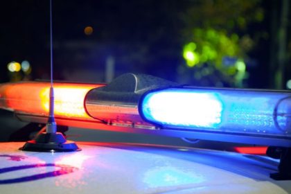 Tortura de pets em lives: crimes virtuais chocam São Paulo e expõem falhas na fiscalização digital