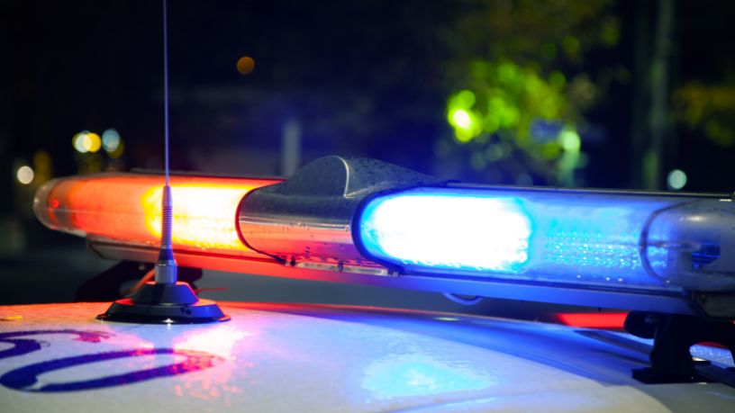 Tortura de pets em lives: crimes virtuais chocam São Paulo e expõem falhas na fiscalização digital