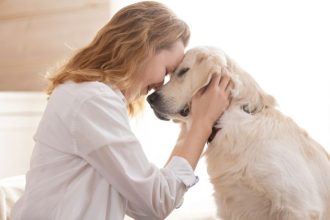 Cachorros Percebem o Medo Humano? Entenda Como os Cães Reagem às Emoções das Pessoas