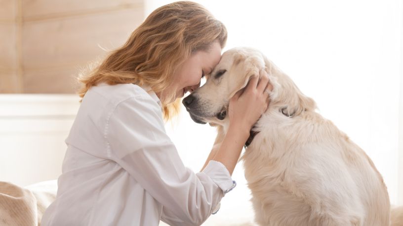 Cachorros Percebem o Medo Humano? Entenda Como os Cães Reagem às Emoções das Pessoas