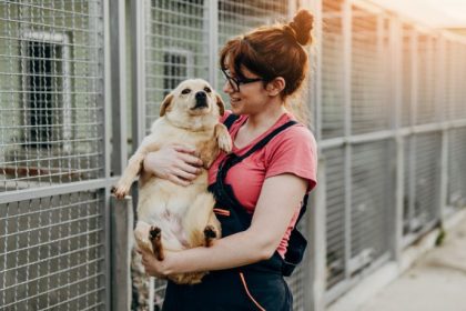 Dia das Mães e adoção responsável fortalecem vínculo entre pets e famílias em Volta Redonda