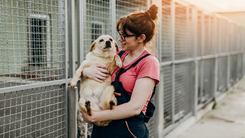 Dia das Mães e adoção responsável fortalecem vínculo entre pets e famílias em Volta Redonda