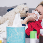 Inverno aumenta casos de gripe canina: veja os sinais que exigem atenção
