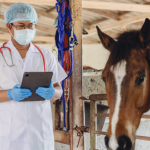 Lula sanciona lei do Julho Dourado para reforçar saúde animal e prevenção de zoonoses