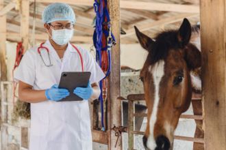 Lula sanciona lei do Julho Dourado para reforçar saúde animal e prevenção de zoonoses