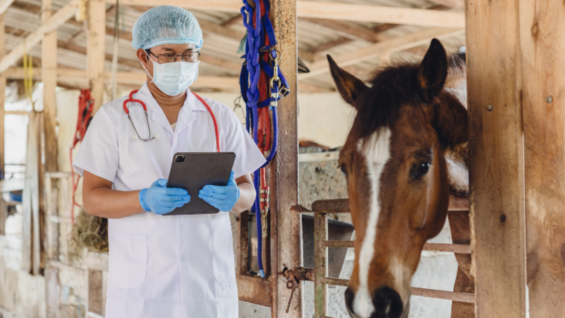 Lula sanciona lei do Julho Dourado para reforçar saúde animal e prevenção de zoonoses