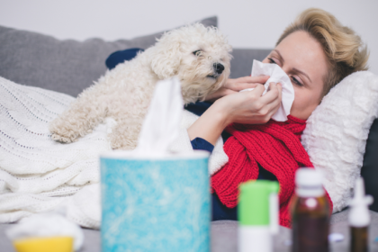 Inverno aumenta casos de gripe canina: veja os sinais que exigem atenção