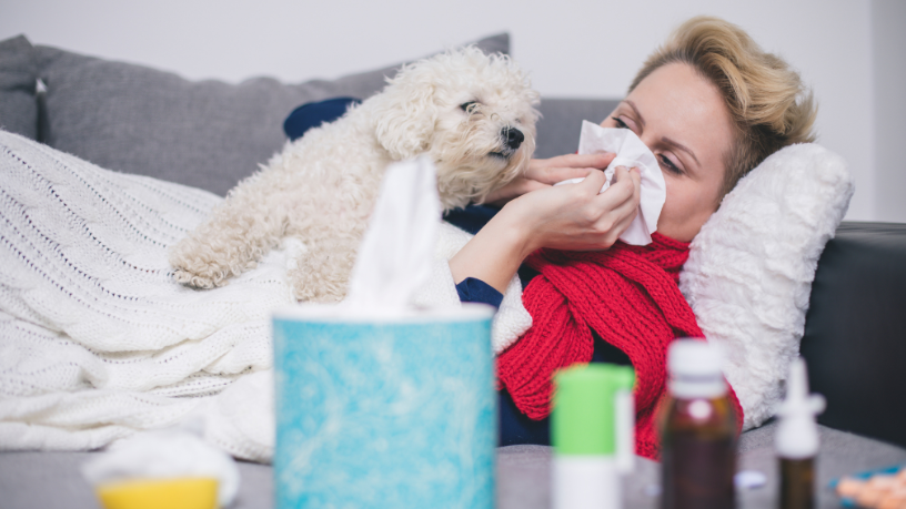 Inverno aumenta casos de gripe canina: veja os sinais que exigem atenção