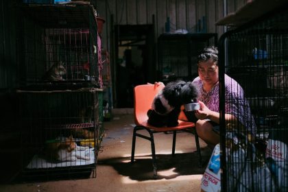 Mulher alimenta um cão em um abrigo para animais, com gatos em gaiolas ao fundo.