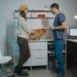 Veterinária conversa com uma tutora enquanto examina um cão da raça Pomerânia em uma clínica.