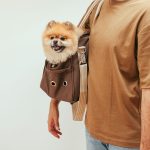 Cão em uma bolsa de transporte usada por uma pessoa em ambiente interno.
