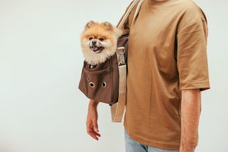 Cão em uma bolsa de transporte usada por uma pessoa em ambiente interno.