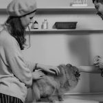 Veterinária conversa com uma tutora enquanto examina um cão em uma clínica.