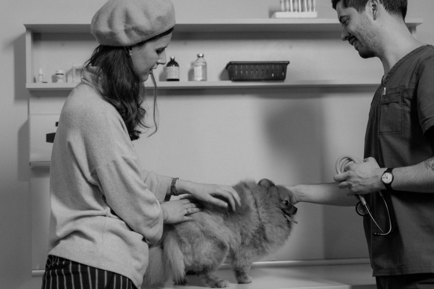 Veterinária conversa com uma tutora enquanto examina um cão em uma clínica.